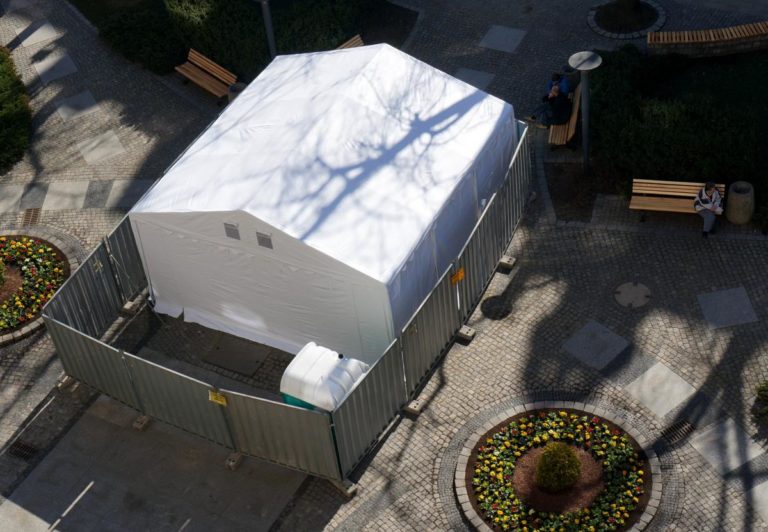 Kiedy fauny wrócą przed urząd miejski?