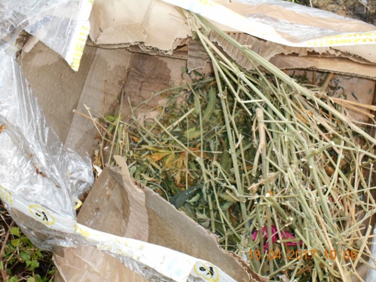 Spore ilości marihuany znalezione na wysypisku śmieci