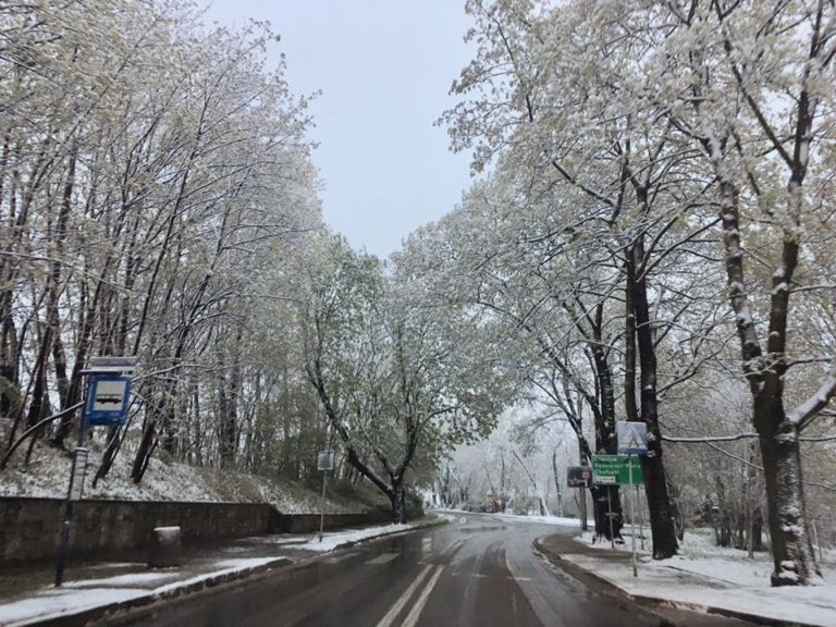 Zima w kwietniu zaskoczyła wszystkich