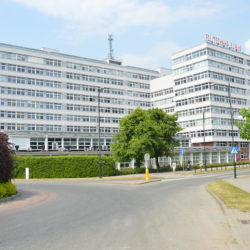 DSC 0072