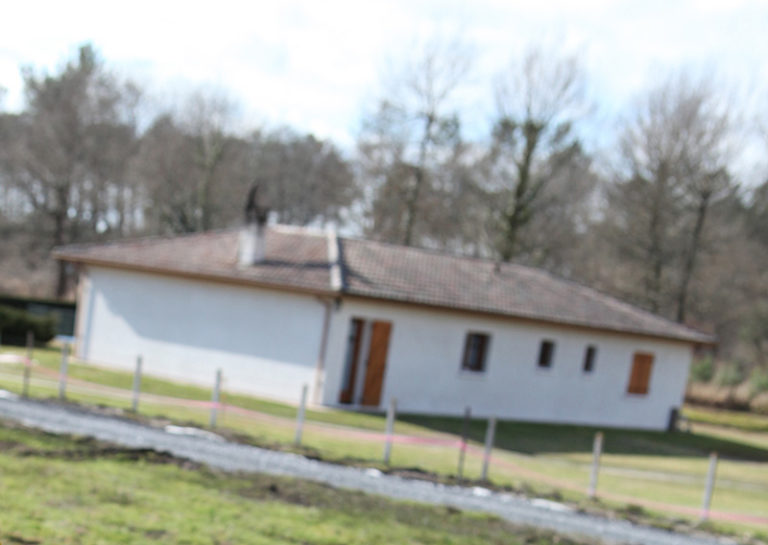 Kiedy warto zdecydować się na dom parterowy?