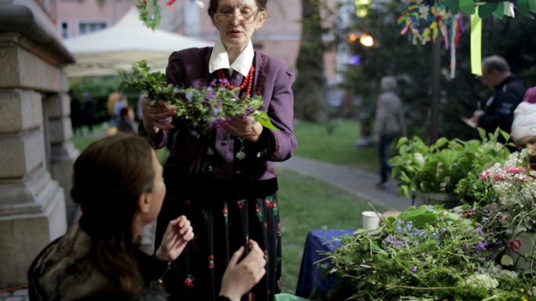 Noc pełna ziół. Zdjęcia z Nocy Muzeów w Gliwicach