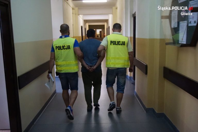 Podejrzani o kradzieże samochodów trafili do aresztu