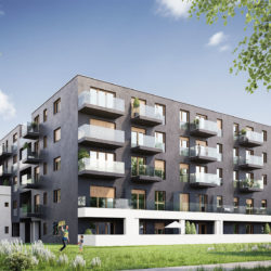 MY 201703 jasnogorska Z3