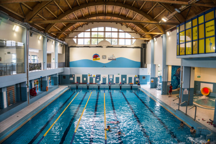 basendelfin basendelfin