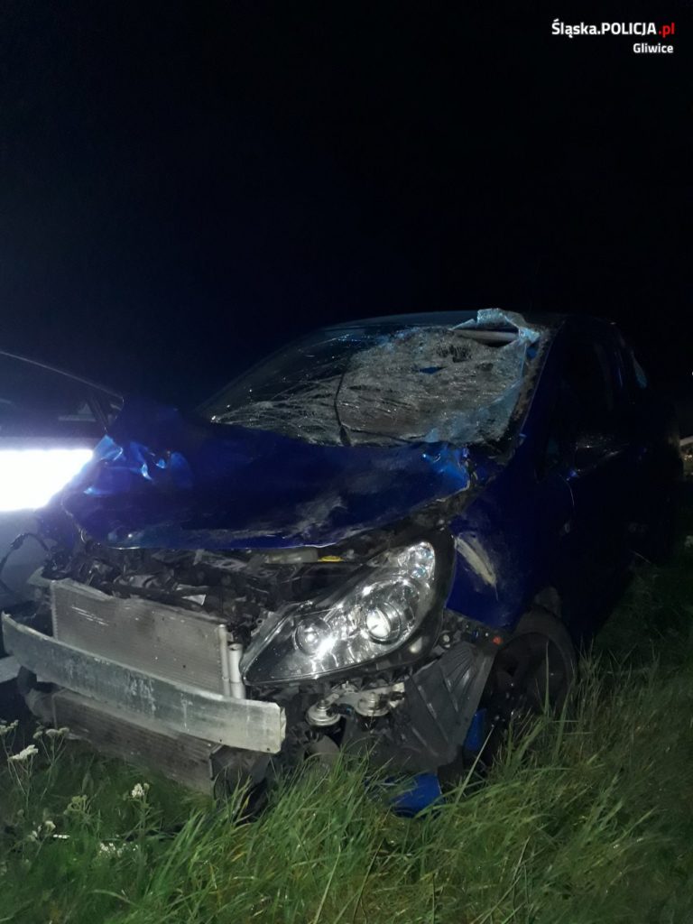 Samochód zderzył się z jeleniem. Niebezpieczny wypadek na drodze krajowej