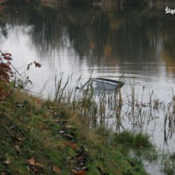 45B97112 8A3E 4D01 B42B 70A1F5E68FD6