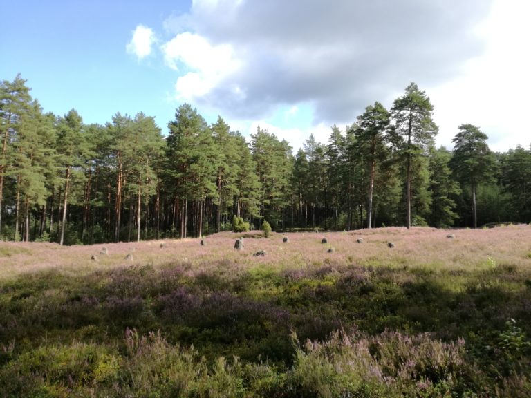 Goci. Barbarzyńscy zdobywcy Europy