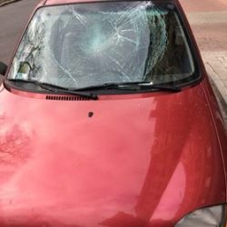 28175629 1981334981895066 2142145903 n