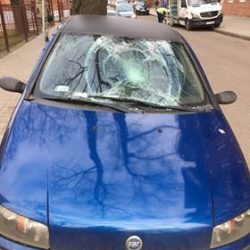 28308556 1981334958561735 1067466968 n