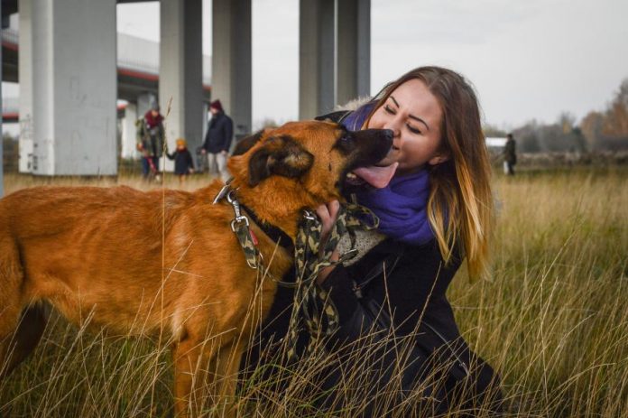 477B662B 2B14 47D9 A0FE 8C26FAA45139