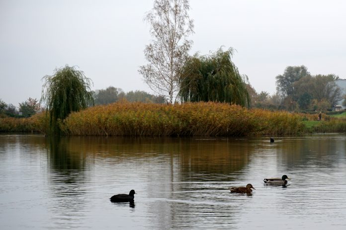 A8C82EE0 A8CE 47B7 94AF 0E875B89B252