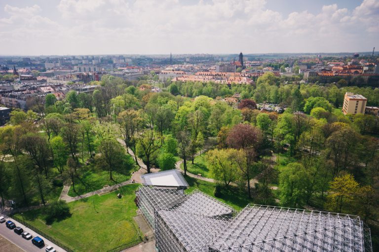 Gliwice sadzą drzewa. W ciągu 2 lat posadzono ich 3500
