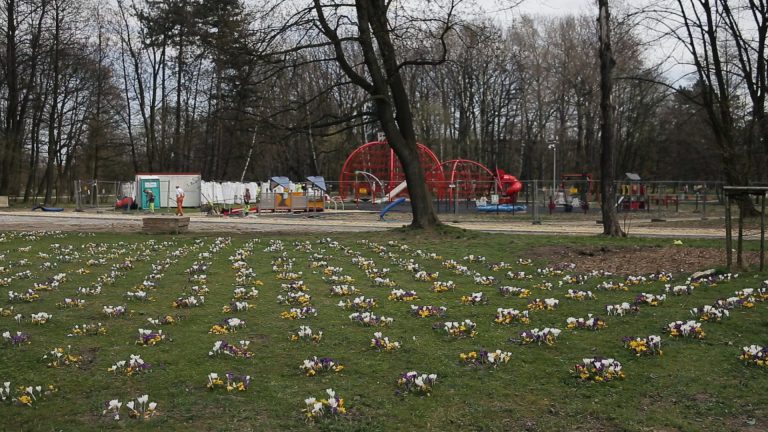 Budowa Areny Gliwice przyniosła kolejne inwestycje. Park pięknieje (TV)
