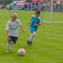 35652116 1413763358723897 2800551794931924992 o