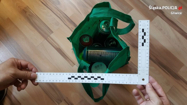 Niszczyli elewacje budynków. Zamieszczali wulgarne napisy