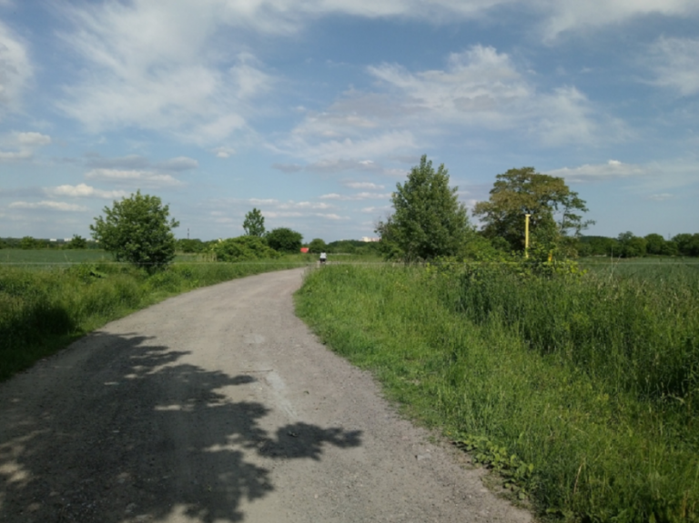 Trasa rowerowa w Gliwicach będzie miała nową nawierzchnię