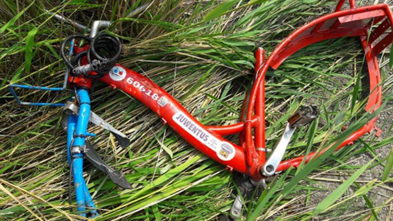 5 zniszczonych rowerów miejskich. Leżały w zaroślach