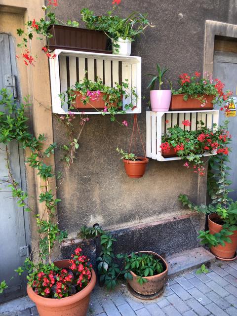 36674984 2017003291672529 4086258222153859072 n 2