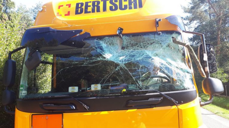 O krok od tragedii. Drzewo runęło na samochód