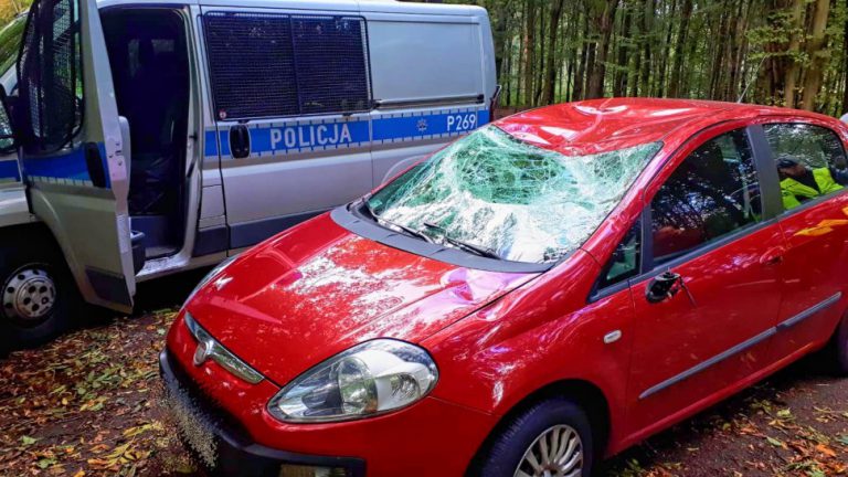 Silny wiatr przewracał drzewa. Uszkodzone samochody