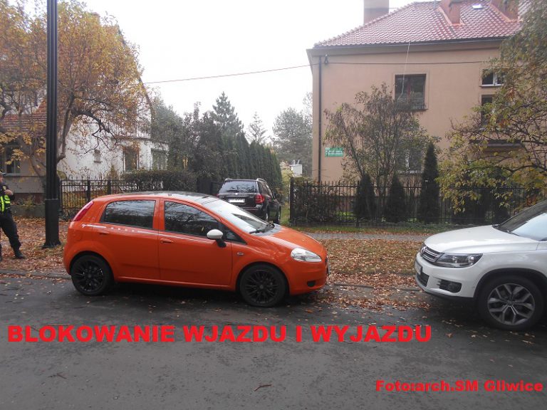 Tak w październiku parkowali „mistrzowie”. Zobacz zdjęcia