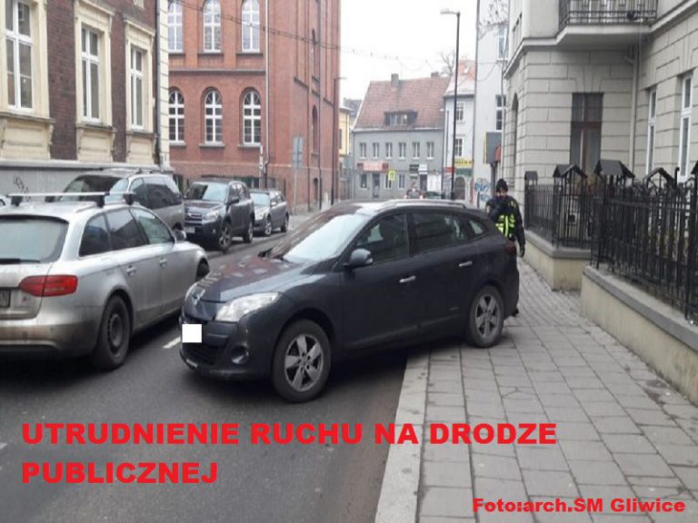 „Mistrzowie parkowania” w akcji. Zobacz zdjęcia z grudnia
