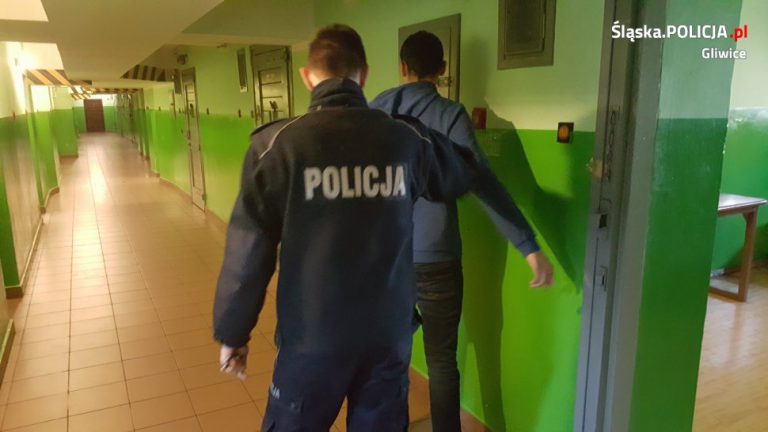 Kolejne osoby zatrzymane po meczu Piasta z Górnikiem