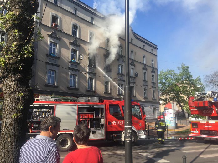 58571142 2458884940817693 7570337518030159872 o