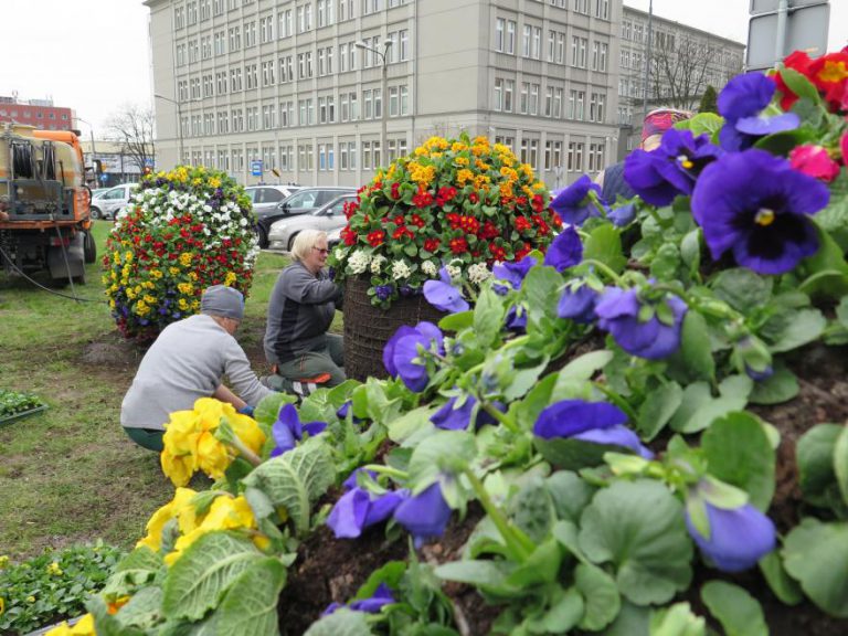 Gliwice pięknieją na wiosnę
