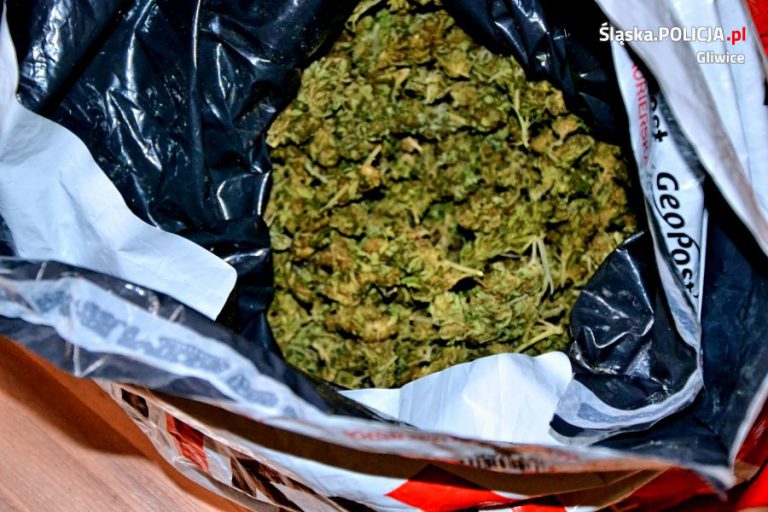 18-latek aresztowany. Miał 13 g marihuany, 38 g amfetaminy i 11 tabletek ekstazy
