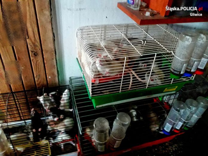 520761BA 06F4 426D B84A 68EB73EABBB4