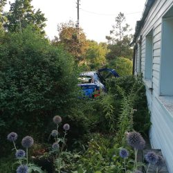 67888255 500206774116690 827084669689266176 n