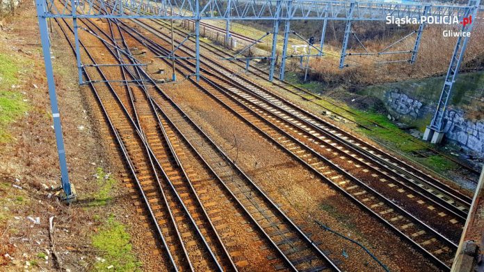 7AB2AFE8 5EF7 401C AAE0 9F50635397A4