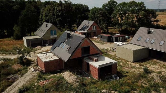 lesnaostropa lesnaostropa