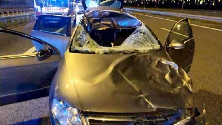 Tragiczny wpadek na autostradzie A4. Zderzenie z jeleniem