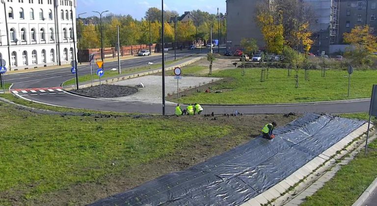 Sadzą nowe drzewa i krzewy