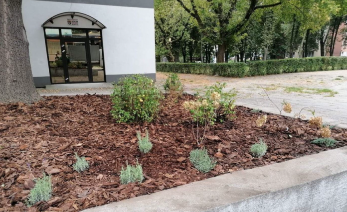 68B5F544 B35A 4C5B 88FD B023558F5839