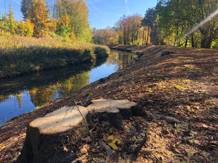 Gliwice plusy i minusy