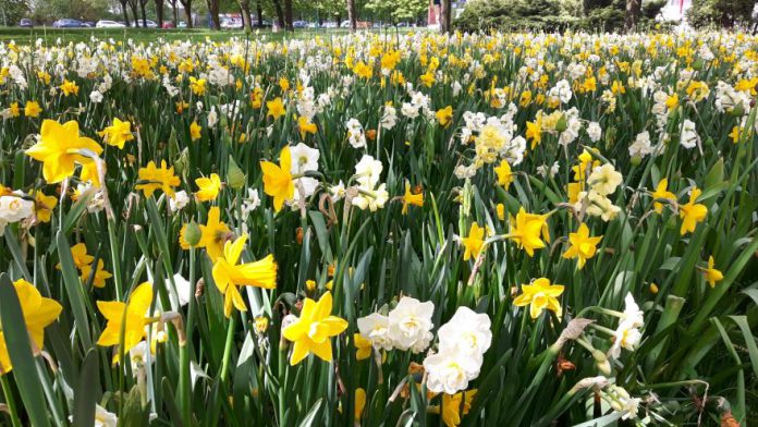 20170509 101330 20170509 101330