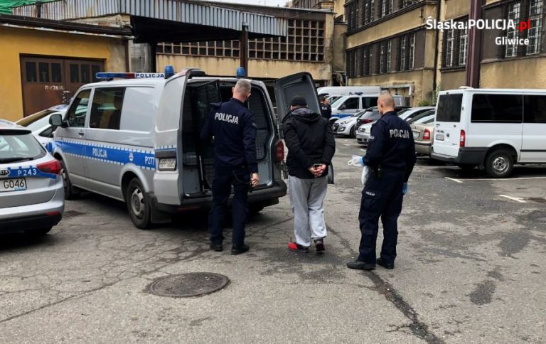 Policja z Gliwic zatrzymała 19 osób