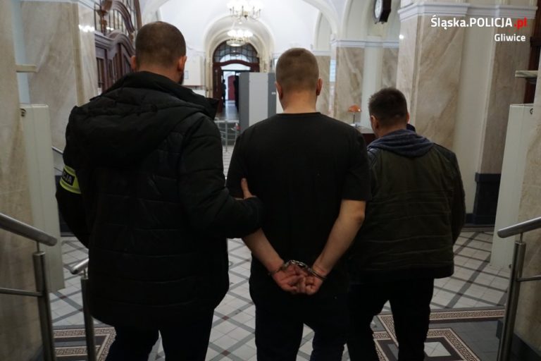 Podejrzany o kradzieże aut zatrzymany. Wpadli też złodzieje sklepowi