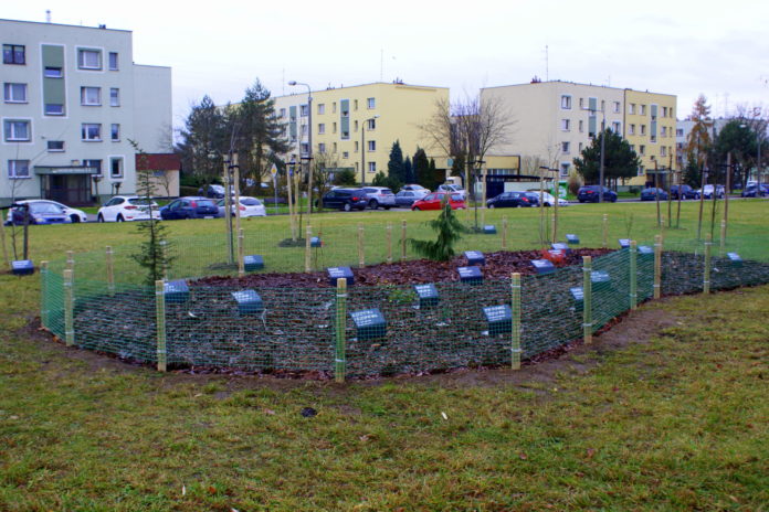 Obroncow Pokoju 3 scaled