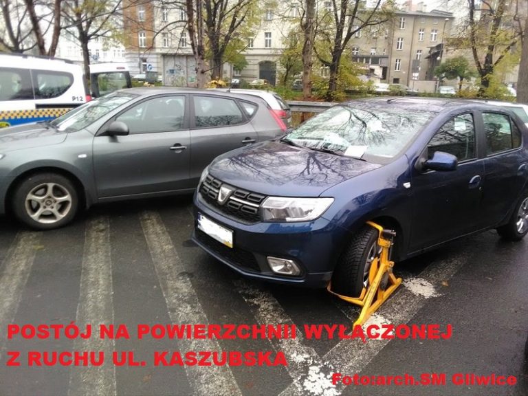 Tak parkują „mistrzowie”. Posypały się mandaty