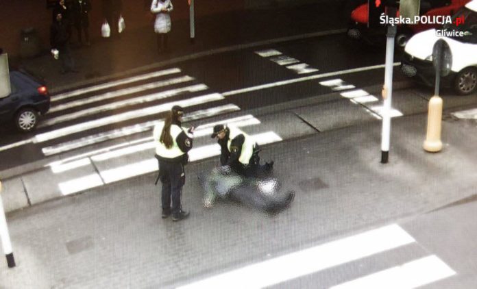 83796072 3015931148446400 5231753586572001280 o