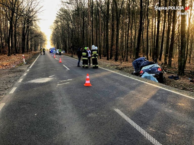 Śmiertelny wypadek. Samochód uderzył w drzewo