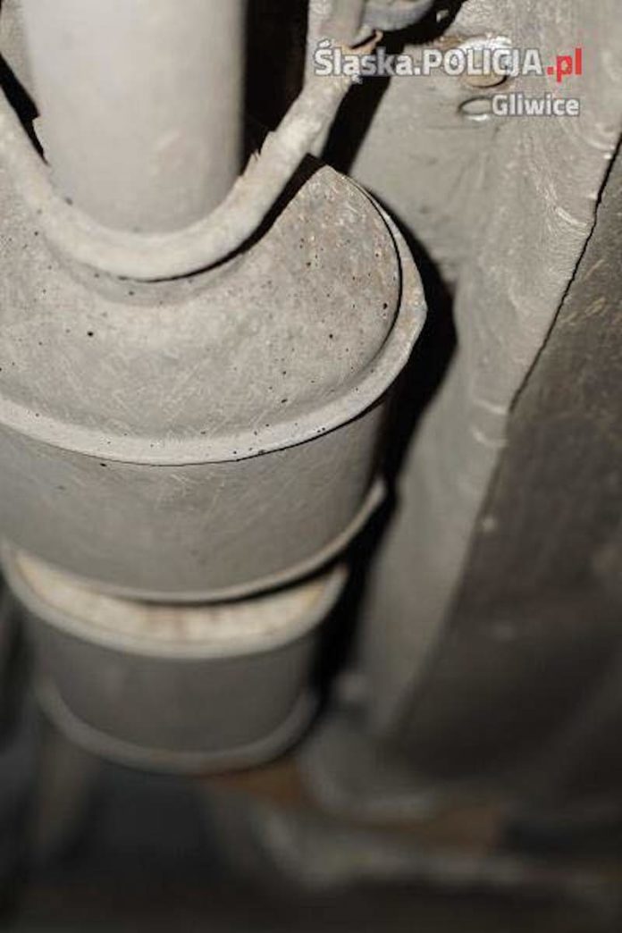 84519126 3021890921183756 3088463089373282304 n 1 84519126 3021890921183756 3088463089373282304 n 1