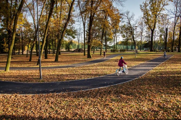 Nowe inwestycje w Gliwicach: park linowy, rolkowisko i pumptrack