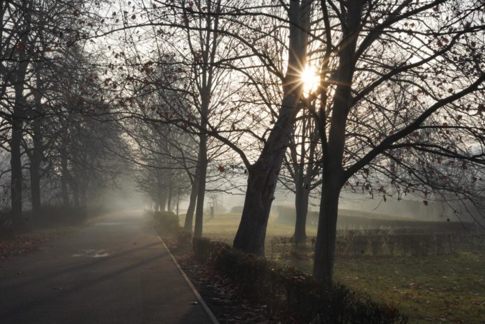 79911190 2920483737991142 6892858404780376064 o