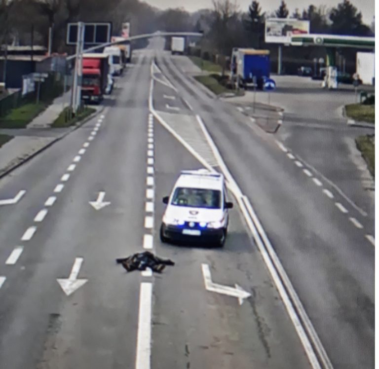 Postanowił odpocząć na środku drogi. Leżał na ul. Rybnickiej